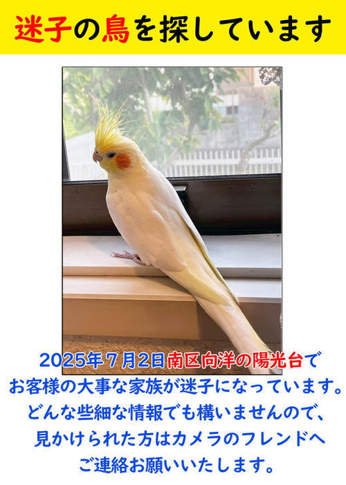 20250702173933.jpg