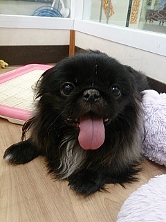 20140208180558.jpg