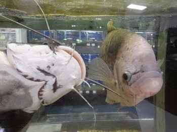 20140626120324.jpg