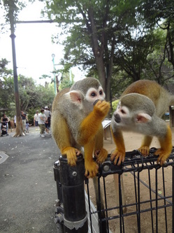 20140820223631.jpg