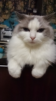 20140831221029.jpg