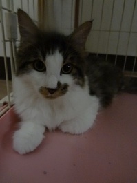 20140831221430.jpg