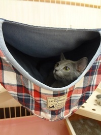 20140901215314.jpg