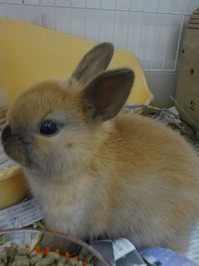 20150331101457.jpg