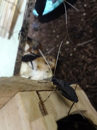 20150615103208.jpg