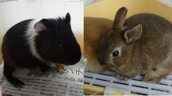 20151023172803.jpg