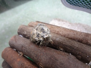 20160606172649.jpg
