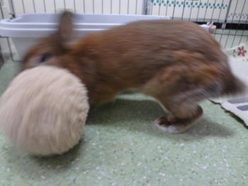 DSC07395.JPG
