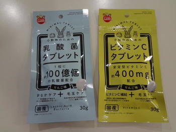 DSC07619.JPG