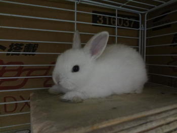 DSC07738.JPG