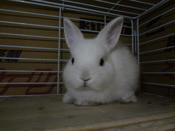 DSC07740.JPG