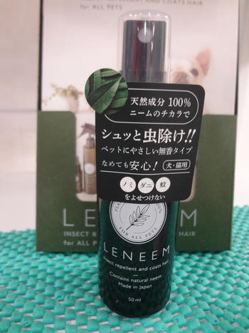 DSC07790.JPG