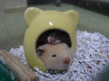 DSC07834.JPG