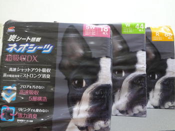 DSC08010.JPG