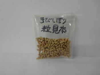 DSC08124.JPG