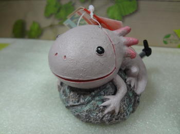 DSC08126.JPG