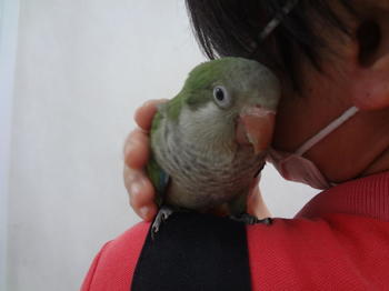 DSC08134.JPG