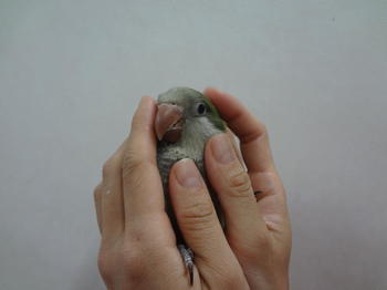 DSC08135.JPG