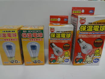 DSC08148.JPG
