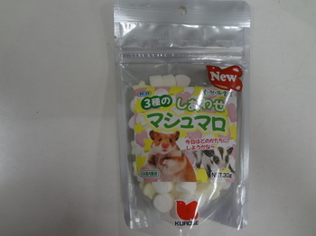 DSC08558.JPG