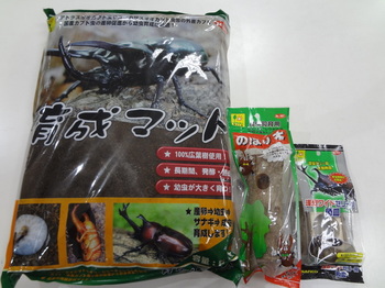 DSC08638.JPG
