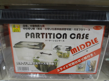 DSC08639.JPG