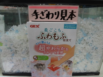 DSC08647.JPG