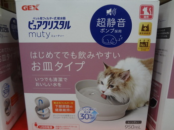 DSC08649.JPG