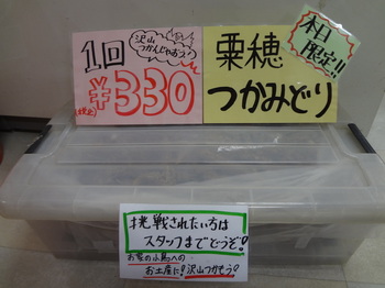DSC08653.JPG