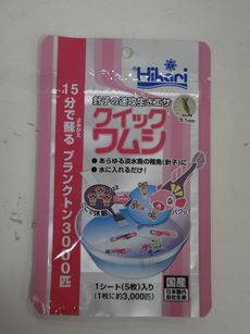 DSC08728.JPG