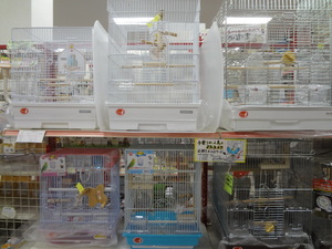 DSC08734.JPG