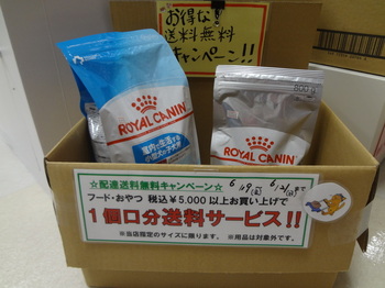 DSC08757.JPG