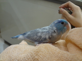 DSC08837.JPG