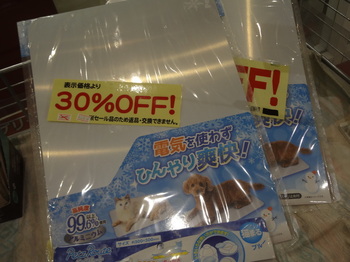 DSC08867.JPG