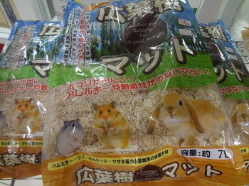 DSC08870.JPG