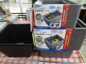 DSC08871.JPG
