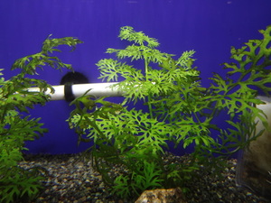 DSC08872.JPG