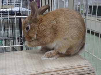 DSC08883.JPG