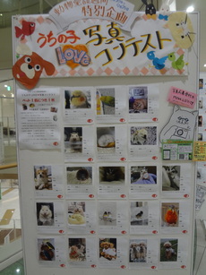 DSC08935.JPG