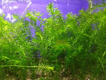 DSC08897.JPG