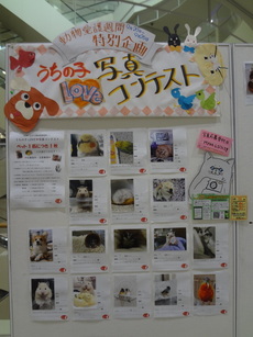 DSC08909.JPG