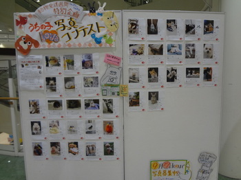 DSC08914.JPG