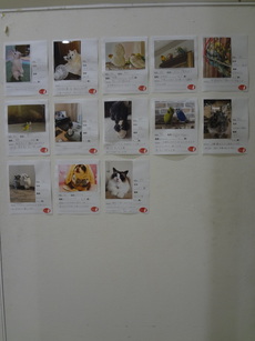 DSC08939.JPG