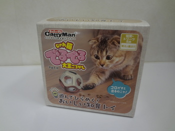 DSC08853.JPG
