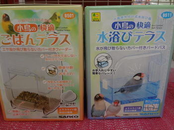 DSC08981.JPG