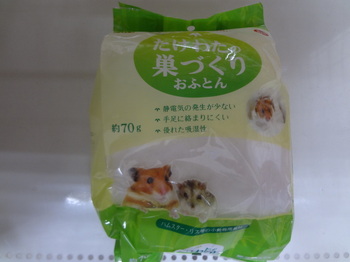 DSC08982.JPG