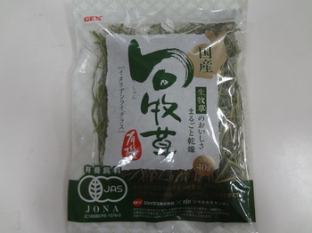 DSC08985.JPG