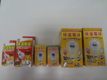 DSC09020.JPG