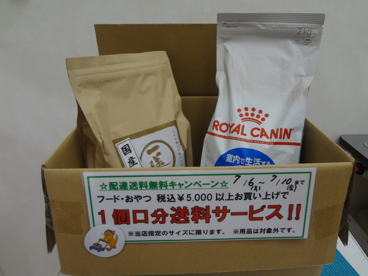 DSC08781.JPG